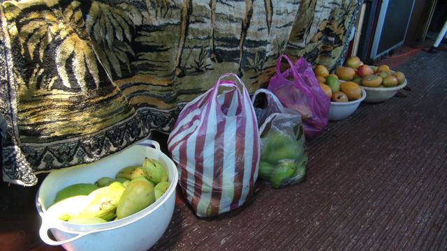 and mangos which we picked from the tree's along the road