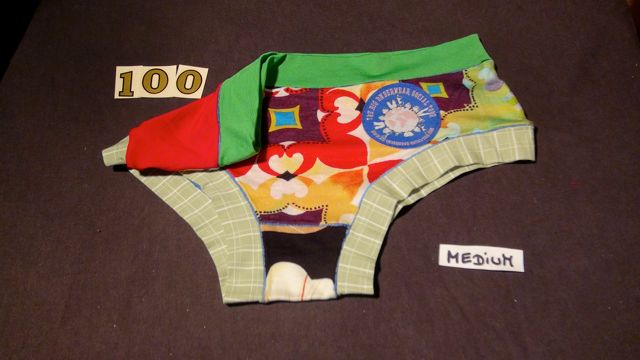 No. 100 Panties Small