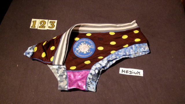 No. 123 Panties Medium