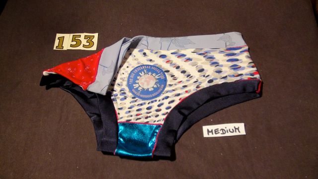 No. 153 Panties Medium