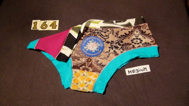 No. 164 Panties Medium