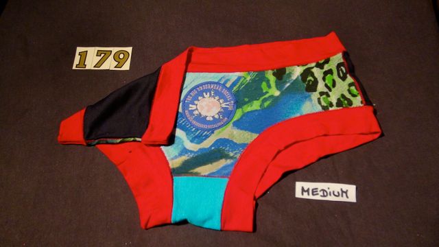 No. 179  Panties Medium