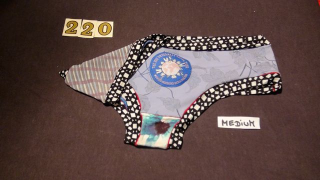 No. 220  Panties Medium