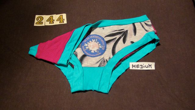 No. 244  Panties Medium