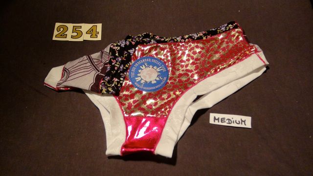 No. 254  Panties Medium