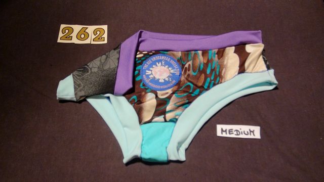 No. 262  Panties Medium