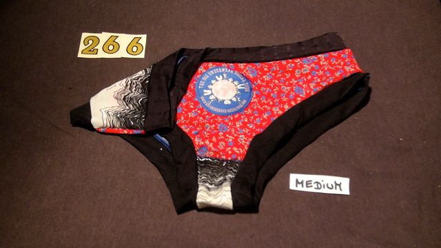 No. 266  Panties Medium