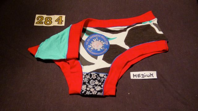 No. 284  Panties Medium