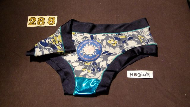 No. 288  Panties Medium