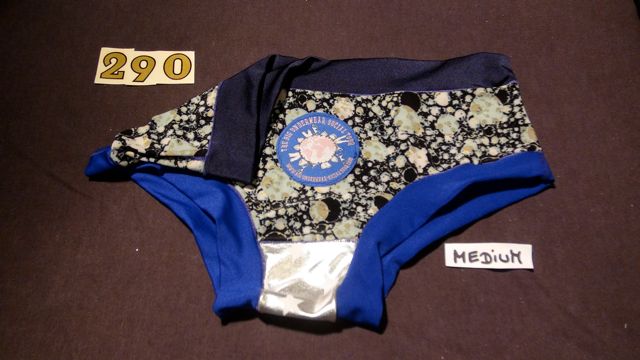 No. 290  Panties Medium