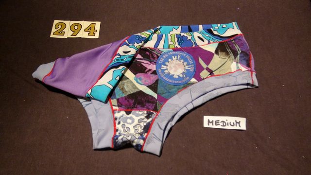 No. 294  Panties Medium