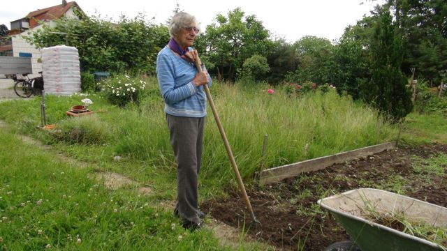 still working in the garden