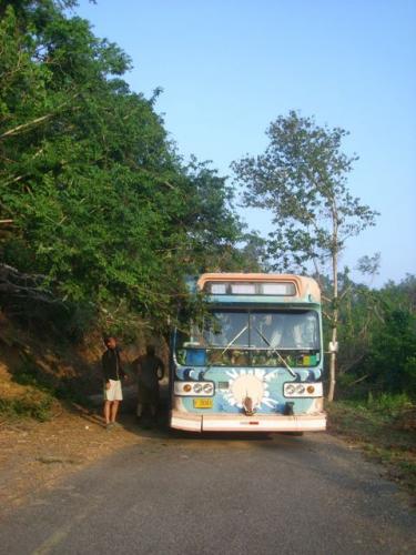 cutting branches to get to the next beach