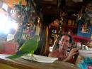 our parakeet from Las Brisas