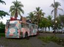 park under palm trees